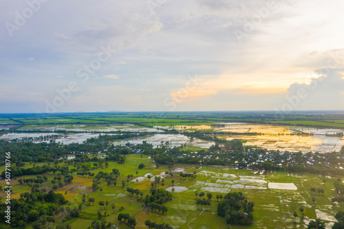 Aerial view of fresh green and yellow rice fields and palmyra trees in Mekong Delta, Tri Ton town, An Giang province, Vietnam. Ta Pa rice field. photo