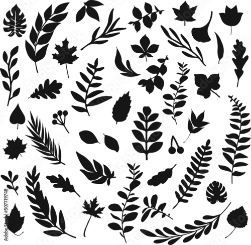 Black leaf inked silhouettes set vector isolated illustration