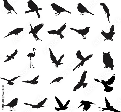 Bird silhouette collection 