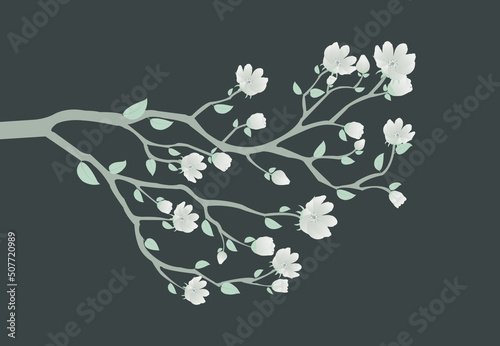 Branch soft gray flower isolated on dark tone background.