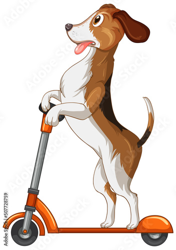 Cute puppy dog playing scooter on white background