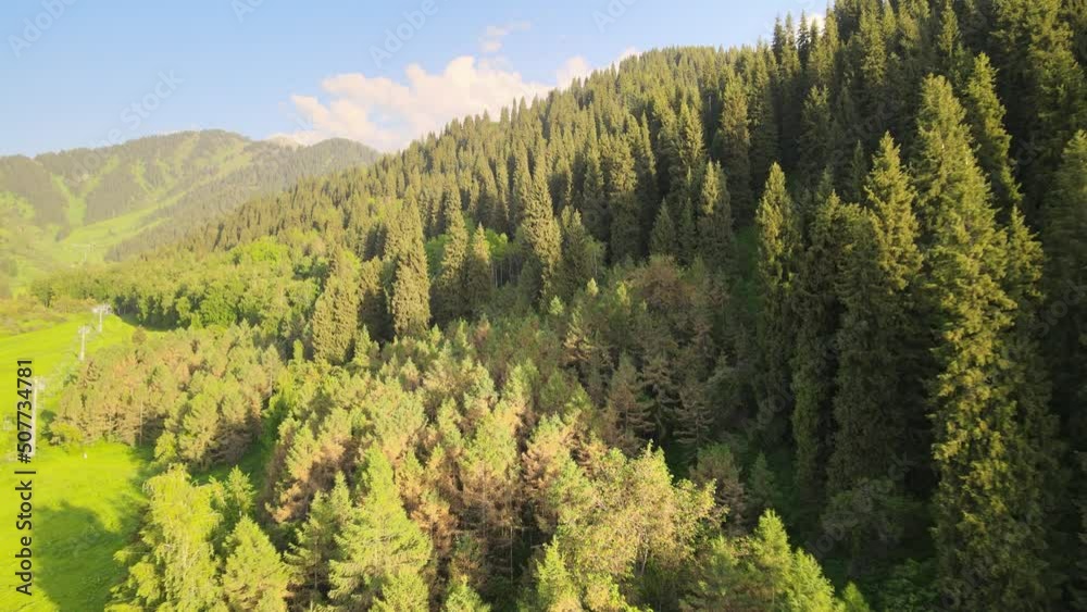 landscape with trees landscape with trees