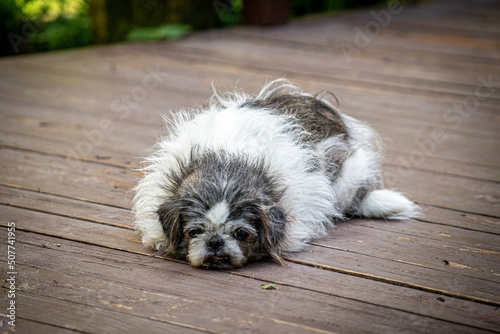 Patiently Waiting, Anxiousness