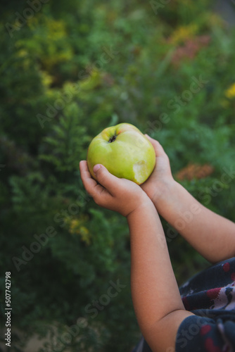 Children's hands hold a ripe apple.