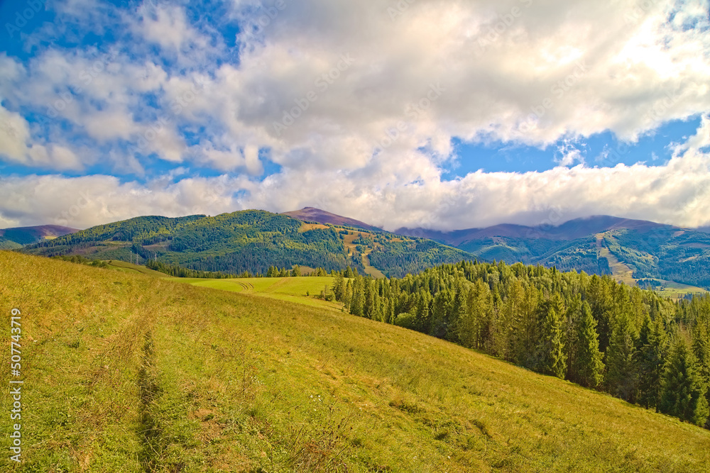 Naklejka premium Green high mountains are covered with coniferous trees. Fluffy white clouds hung over the top. Grow green grass, Christmas trees. landscape wallpaper.