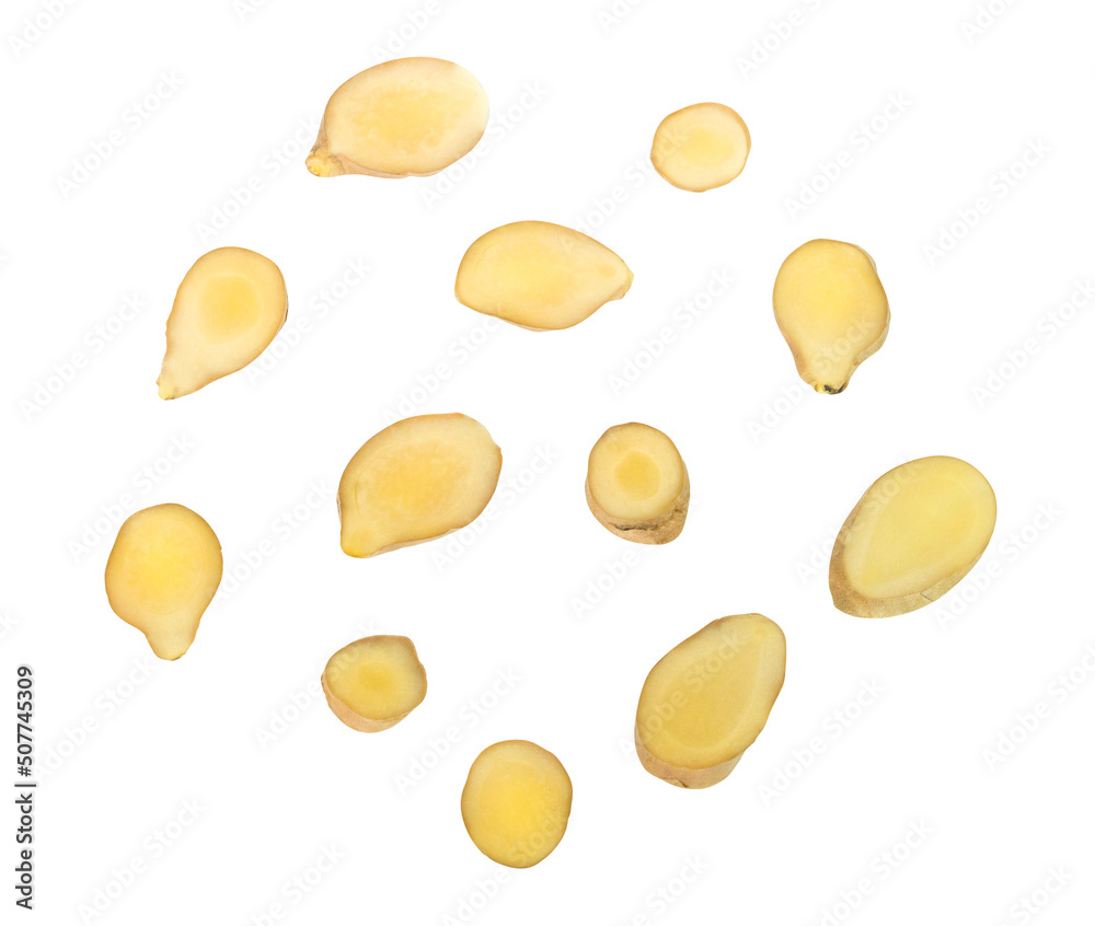 Set of Fresh sliced ginger root on white background for herb and medical product concept Set of Fresh sliced ginger root on white background for herb and medical product concept