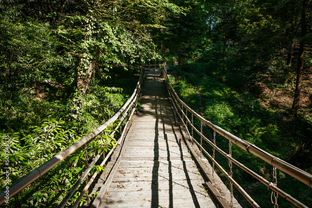 Suspension bridge in the green forest. Suspension bridge in the green forest.