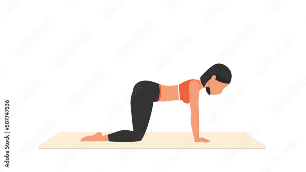 Bird dog exercise. Female workout on mat. Fitness woman exercising. Looped 2D animation with young girl character training. Sport and healthy lifestyle concept. Bird dog exercise. Female workout on mat. Fitness woman exercising. Looped 2D animation with young girl character training. Sport and healthy lifestyle concept.