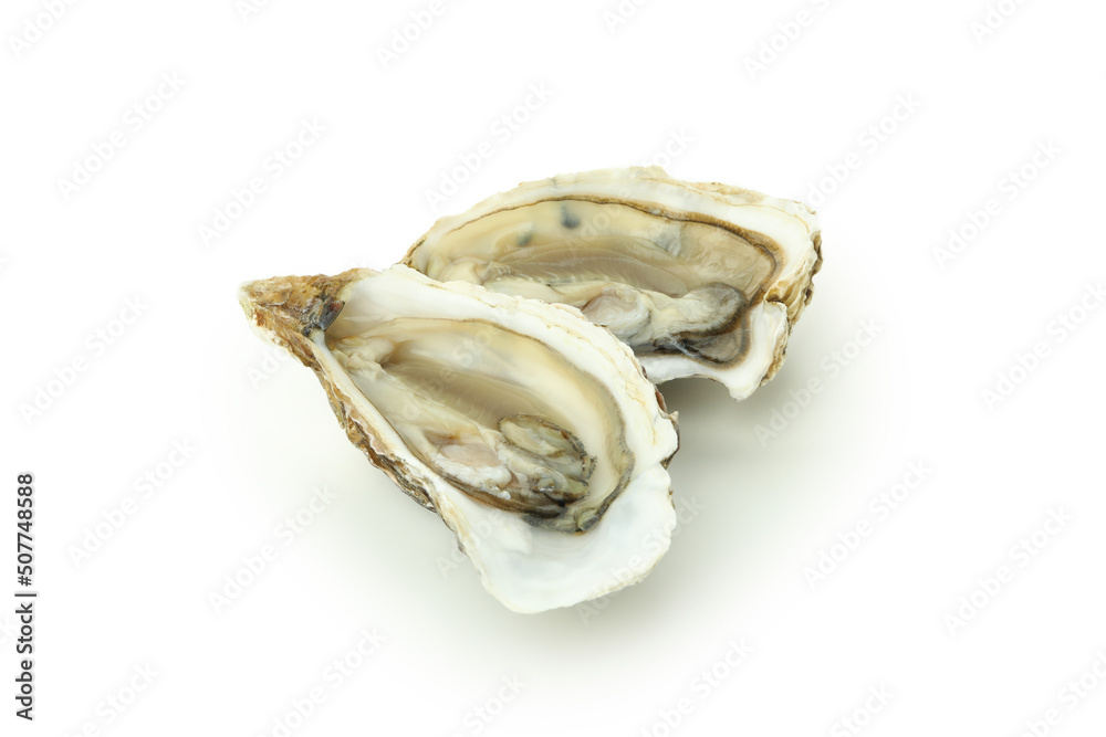 Concept of delicious seafood, oysters isolated on white background Concept of delicious seafood, oysters isolated on white background