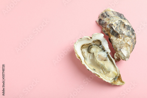 Concept of delicious seafood, oysters on pink background