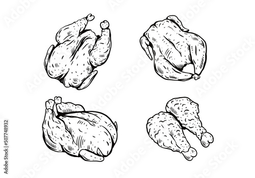 Hand drawn sketch chicken set. Black color vector illustration.