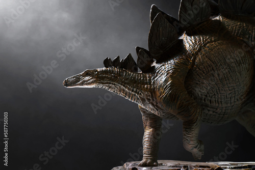 Dinosaur, Stegosaurus on dark background © fotokitas