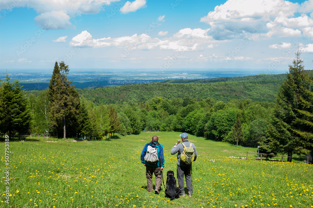 People with a dog explore the valley and forest, sunny day. People with a dog explore the valley and forest, sunny day.