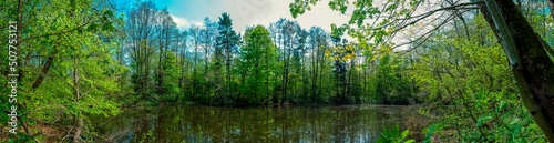 Panorama of forest lakes in spring, young leaves and freshly blossomed buds of trees and shrubs