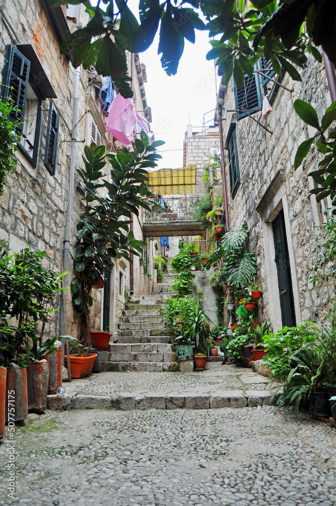 A quaint typical stairway adorned with colourful plants and flowers rising up a stairway  in Dubrovnik Croatia	