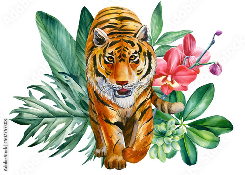 Tela Tiger, orchid flowers, palm leaves