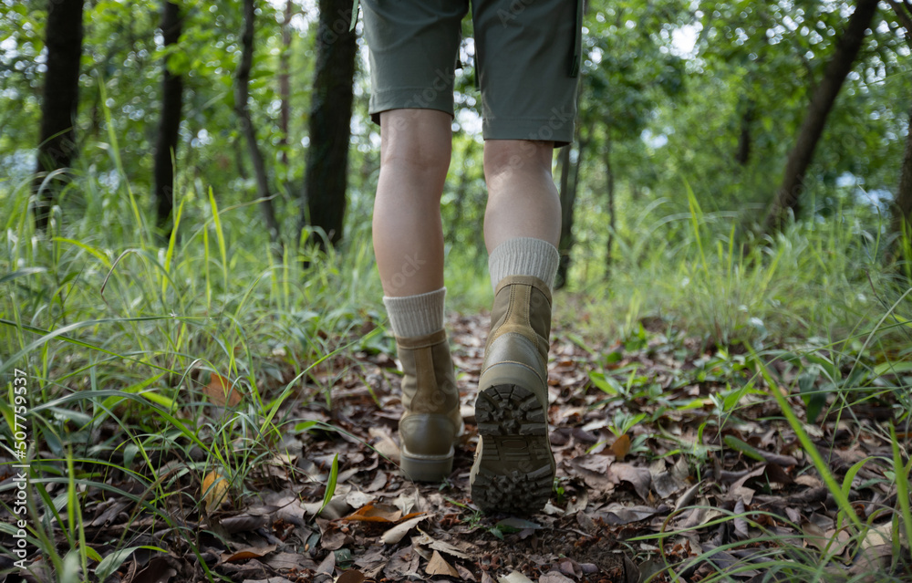 Woman hiker hiking on forest trail Woman hiker hiking on forest trail