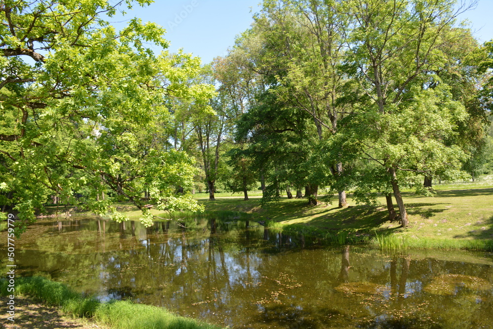 summer in Latvia