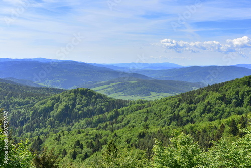 Fototapeta Naklejka Na Ścianę i Meble -  Beskid Sądecki w pasmie Jaworzyny Krynickiej, góry w Małopolsce