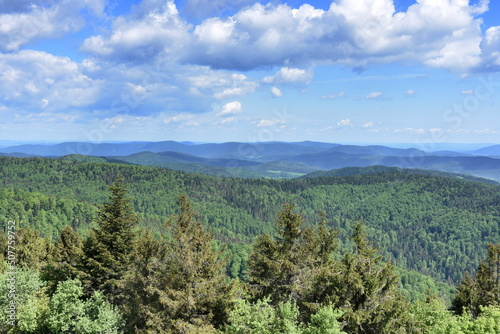 Beskid Sądecki w pasmie Jaworzyny Krynickiej, góry w Małopolsce