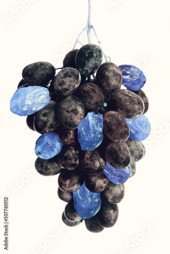 precious raisin snac