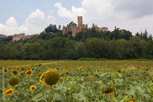 Summer view of Castell'arquato in Emilia Romagna with sunflowers in the background, Italy photo
