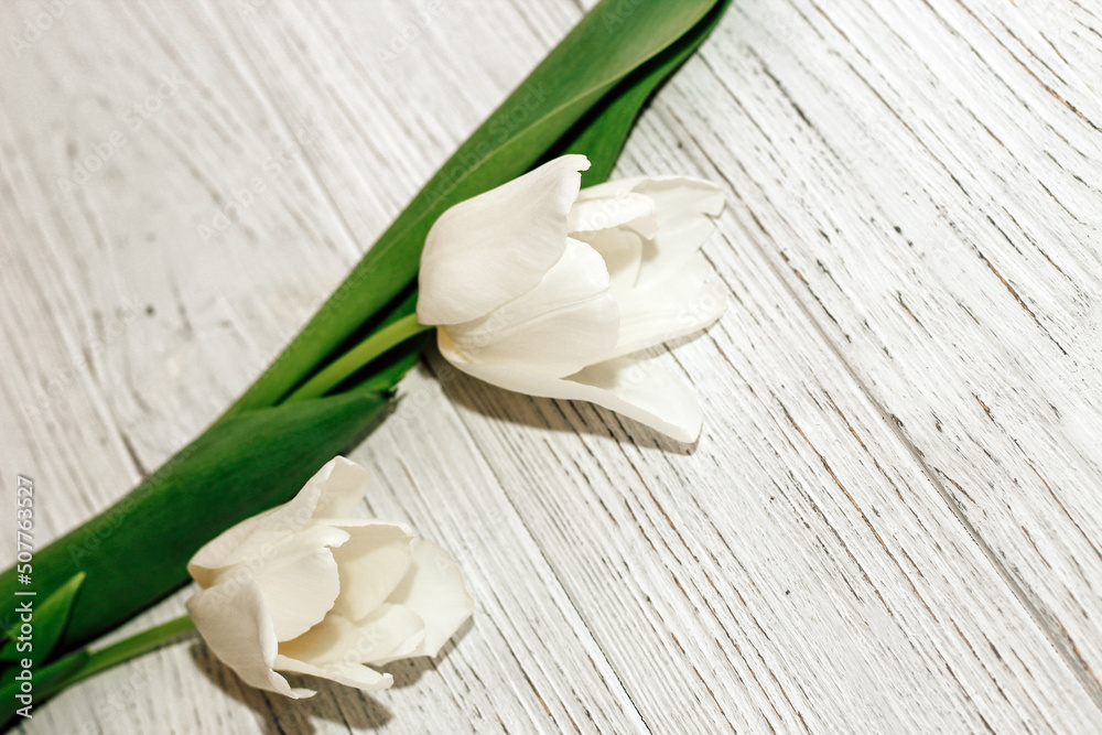 Bouquet of white tulips on a wooden white background, space for text. Bouquet of white tulips on a wooden white background, space for text.