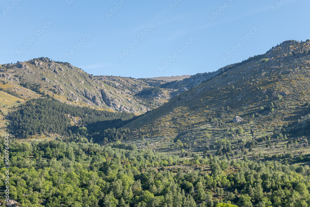Naklejka premium landscape with mountains