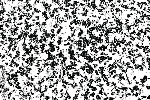 Grunge texture images of small forget-me-nots flowers. Abstract monochrome background with small indistinct flowers. Nature, spring, summer, grass, flowers. Vector illustration. Overlay template.