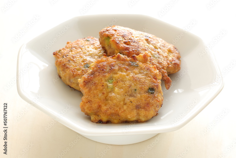 Chinese food, minced pork and tofu pancake with spring onion for comfort food image Chinese food, minced pork and tofu pancake with spring onion for comfort food image