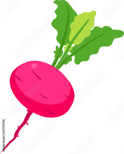 purple radish