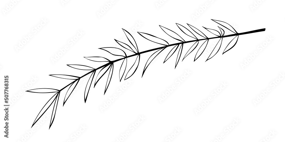 Vector outline spice rosemary sprig in doodle style. Clip art for kitchen, design of packaging and wrapping paper, menus, restaurants, products