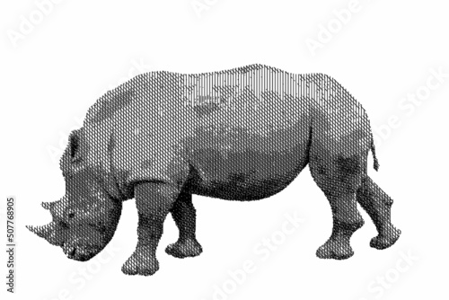 Rhinoceros. Vector illustration. Line engraving. Isolated on white background.