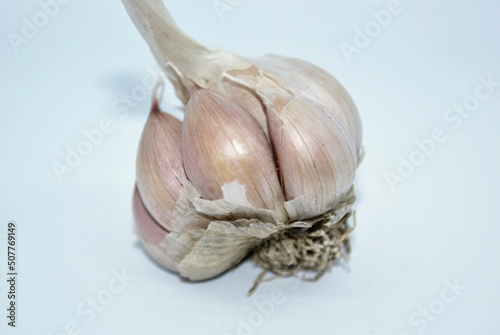 Fresh garlic in front of white background