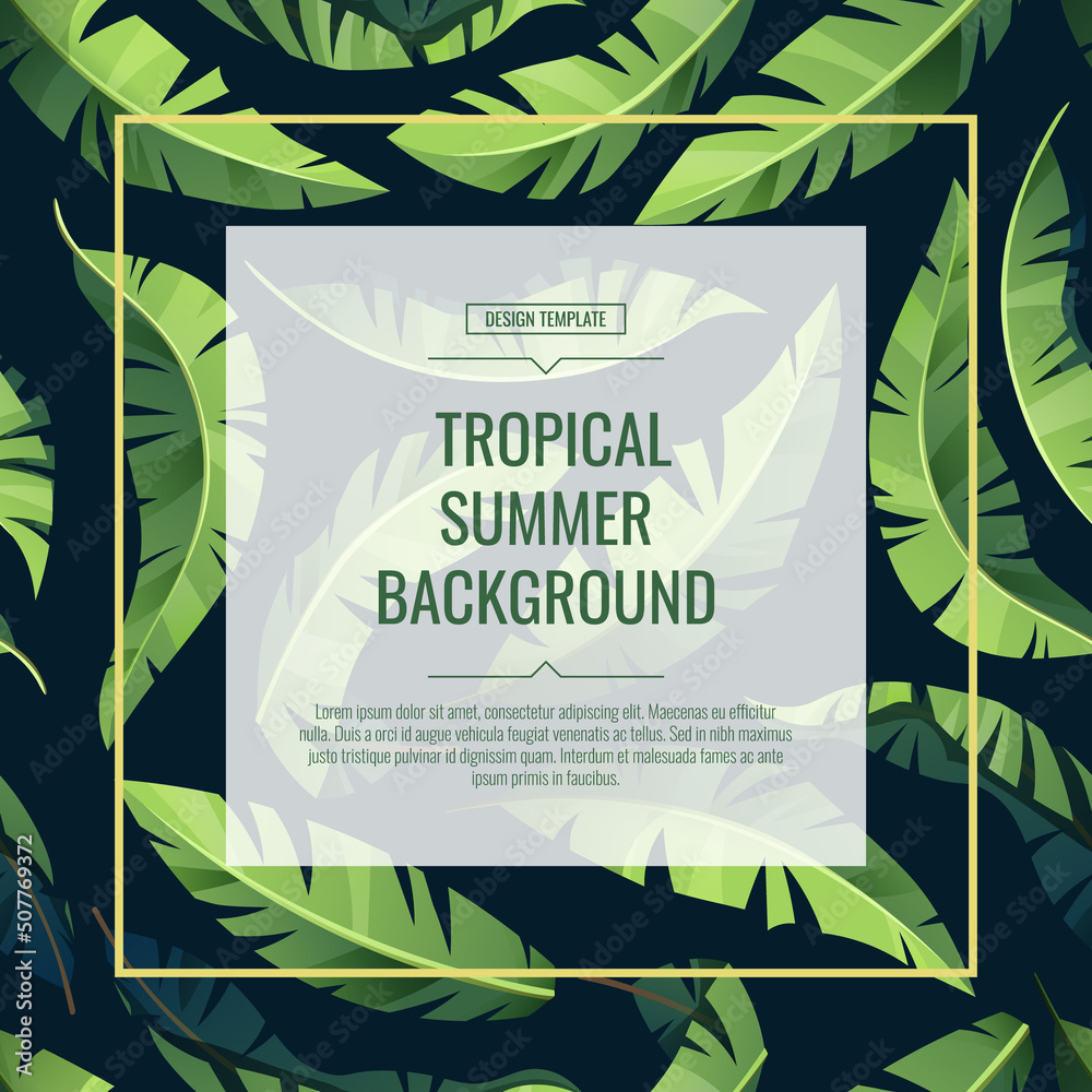Tropical background, banner, flyer with green palm leaves on a dark background. Postcard for decor, invitations, etc.