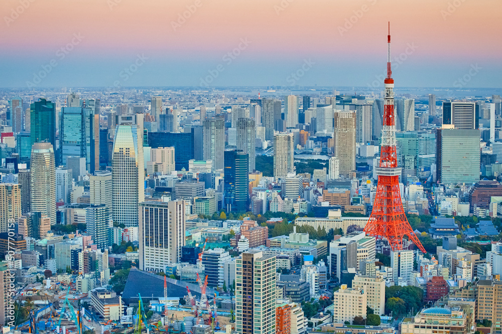 Obraz premium Japanese Travel Destinations. Twilight View of Picturesque Tokyo Skyline During Blue Hour in Japan.