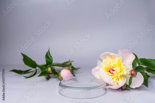 Podium for product photo background with green leaves. 