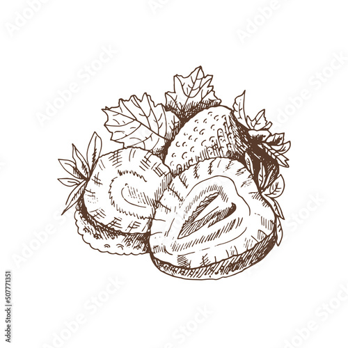 Vector  sketch of fresh organic strawberries, slices. Hand drawn  illustration.  Summer fruit and berries engraved style illustration.  Great for label, poster, print.