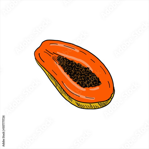 Papaya. Colored simple doodle. Vector clipart, isolated on white