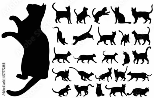 Fototapeta cats silhouette big set on white background, isolated, vector
