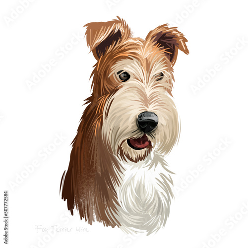 Wire Fox Terrier dog, Wirehaired terrier, Fox terrier digital art illustration isolated on white background. England origin hunting dog. Cute pet hand drawn portrait. Graphic clip art design, artwork. photo