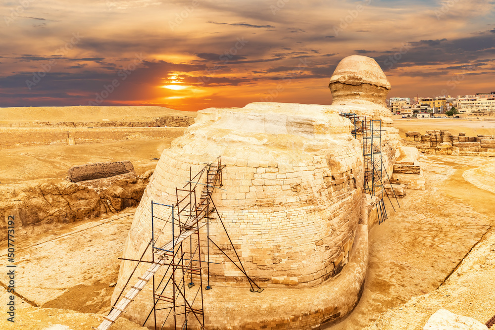 Beautiful sunset view on the back sight of the Great Sphinx and the buildings of Giza, Egypt