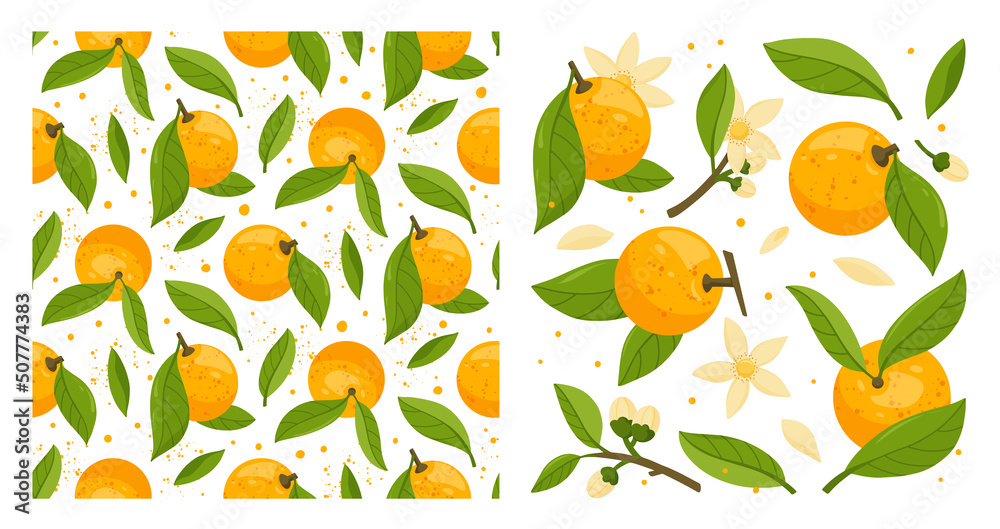 Collection and seamless pattern of orange tree branches with fruits, leaves and flowers isolated on white background. Fresh citrus. Exotical tropical plant. Flat vector illustration. Collection and seamless pattern of orange tree branches with fruits, leaves and flowers isolated on white background. Fresh citrus. Exotical tropical plant. Flat vector illustration.