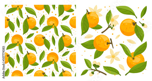 Collection and seamless pattern of orange tree branches with fruits, leaves and flowers isolated on white background. Fresh citrus. Exotical tropical plant. Flat vector illustration.