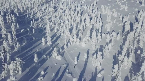Aerial shot of a person cross-country skiing in the middle of snow covered trees photo