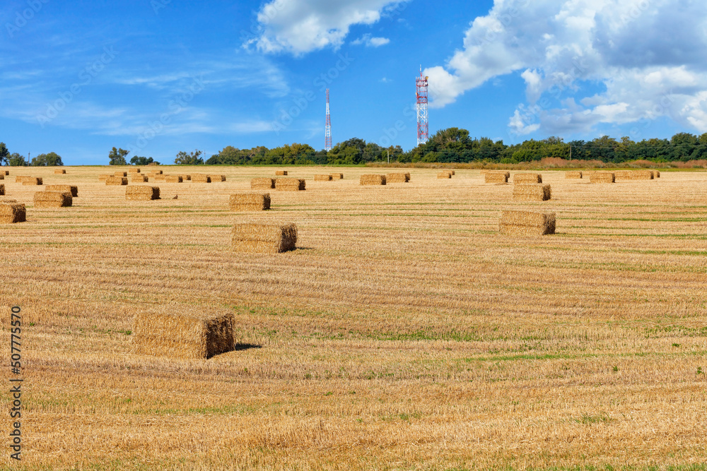 Large rectangular bales of straw on the stubble of an agricultural field against a blue cloudy sky.