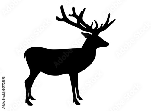 Deer black silhouette isolated on white background. Horny young Fallow deer shadow shape profile view  vector design eps 10