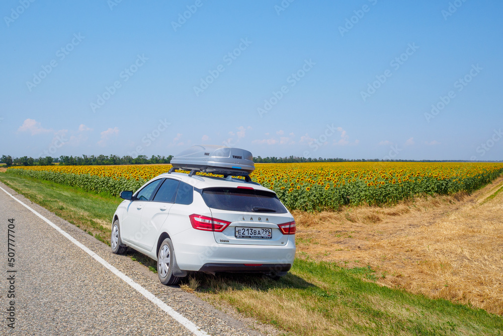 White car Lada Vesta with a cargo box on the roof on the side of the road  among the fields of blooming sunflowers. Car travel concept. Stock Photo |  Adobe Stock
