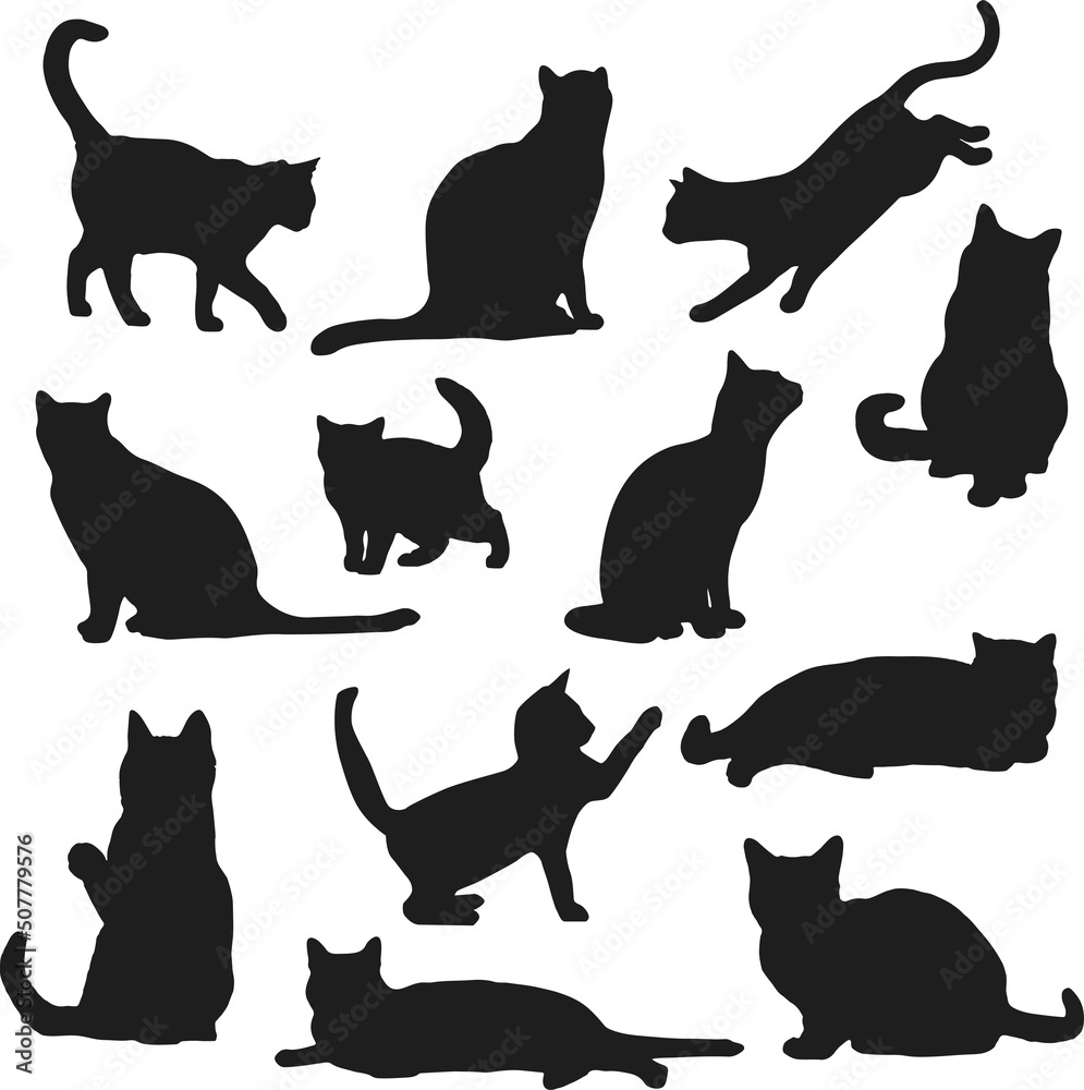 Silhouette of cats in different positions