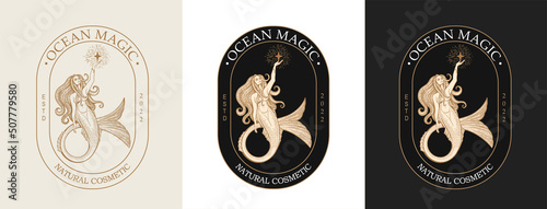Mermaid logo. Brand template vector illustration. Siren and marine girl with a tail. Vintage Hand drawn vector illustration for logo and poster